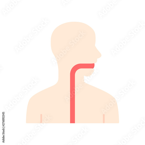 Healthy throat flat design long shadow color icon. Oral cavity, pharynx and esophagus in good health. Upper section of alimentary canal. Gastrointestinal tract. Vector silhouette illustration