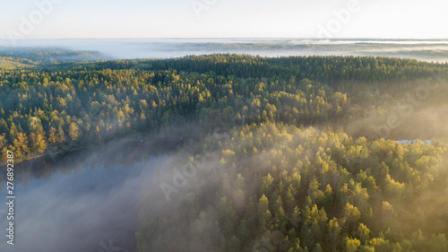 Fototapeta natura finlandia dolina ruch drzewa