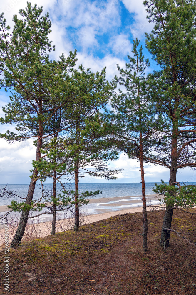 Sandy coast , gulf of Riga, Baltic sea.