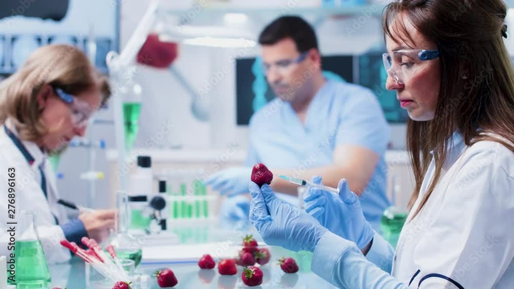 GMO testing in modern and high end biotechnology laboratory. Female scientist is injecting strawberry for experiments GMO testing in modern and high end biotechnology laboratory. Female scientist is injecting strawberry for experiments