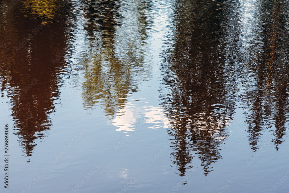 Tree reflections on water surface. Tree reflections on water surface.