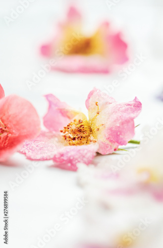 Homemade sugared or crystallized edible rose flowers on a white wooden rustic table. Selective focus with blurred background.