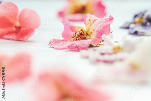 Homemade sugared or crystallized edible flowers on a white wooden rustic table. Selective focus on rose in center with blurred foreground and background. photo