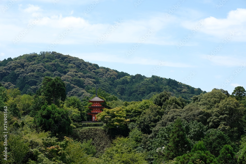 夏の京都　清水の山の風景