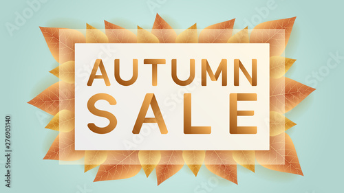 Autumn sale banners, poster,  with multicolor autumn leaves. .Vector fall poster background. Concept layout for discount labels, flyers and shopping. Layout for advertisements. Vector illustration.