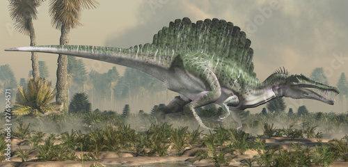 A spinosaurus in a wet lowland.  Spinosaurus was semi-aquatic dinosaur from the Cretaceous period.  It was one of the largest carnivorous dinos ever.  3D Rendering photo