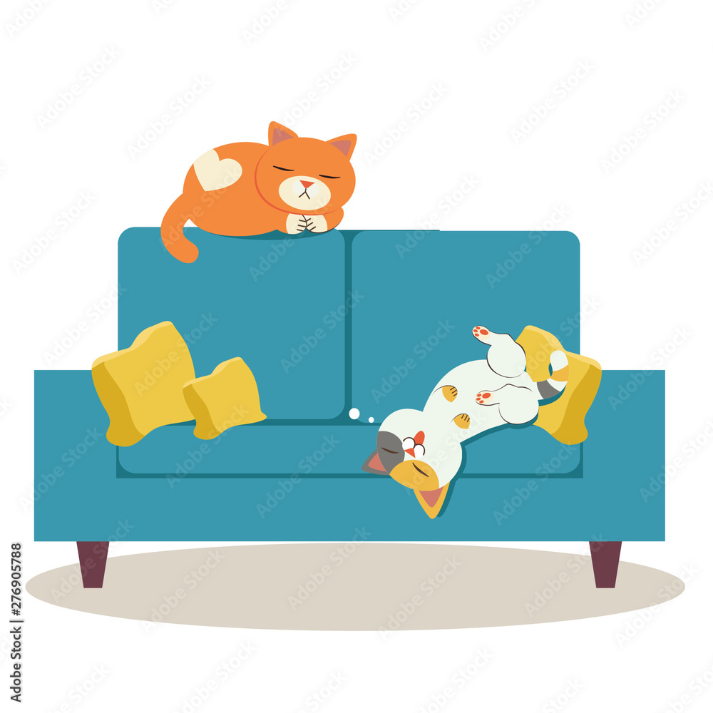 The two character of cat sleeping on the sofa. some cat sleeping on the ...