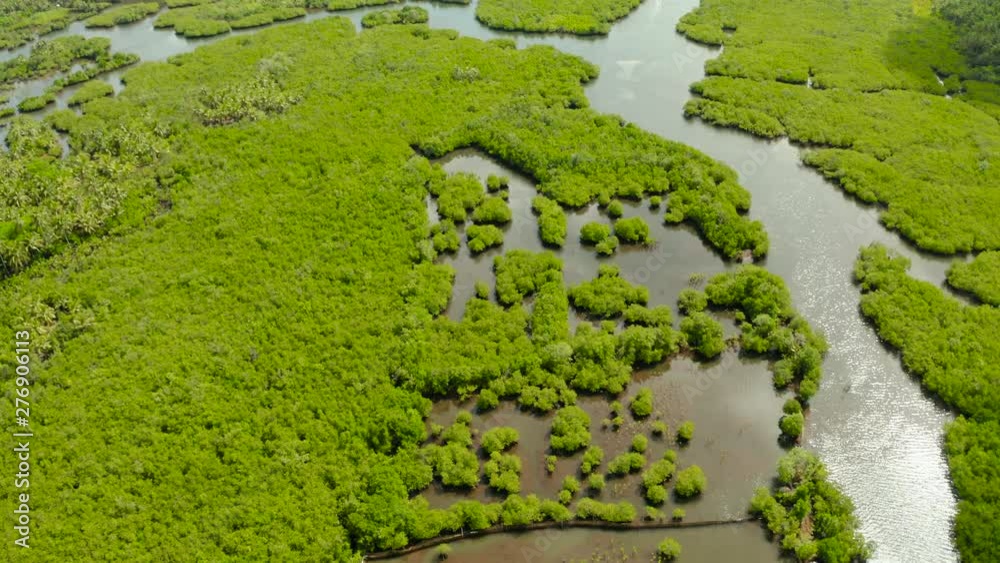 Tropical landscape with mangrove forest in wetland from above on Siargao island, Philippines. Tropical landscape with mangrove forest in wetland from above on Siargao island, Philippines.