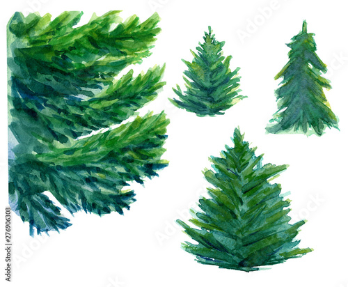 Watercolor hand drawn three green fir trees and one big element of spruce branch. Design for winter background, wrapping paper, packaging. Winter theme.