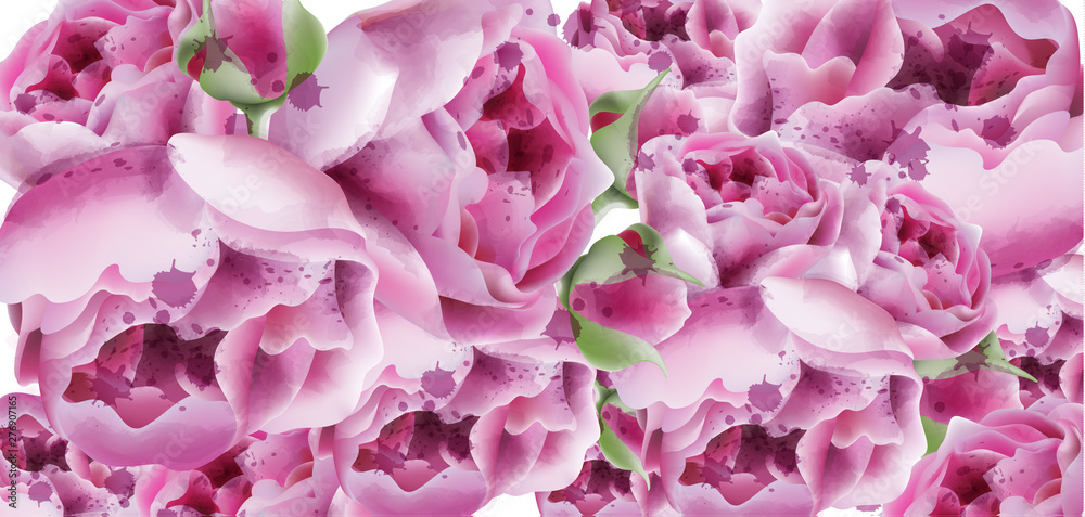Obraz premium Peonies vector watercolor. Summer exotic floral backgrounds
