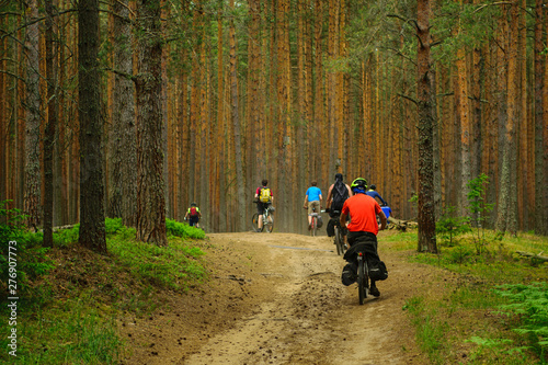 Bicyclists in the pine forest, Tver Region, Russia
