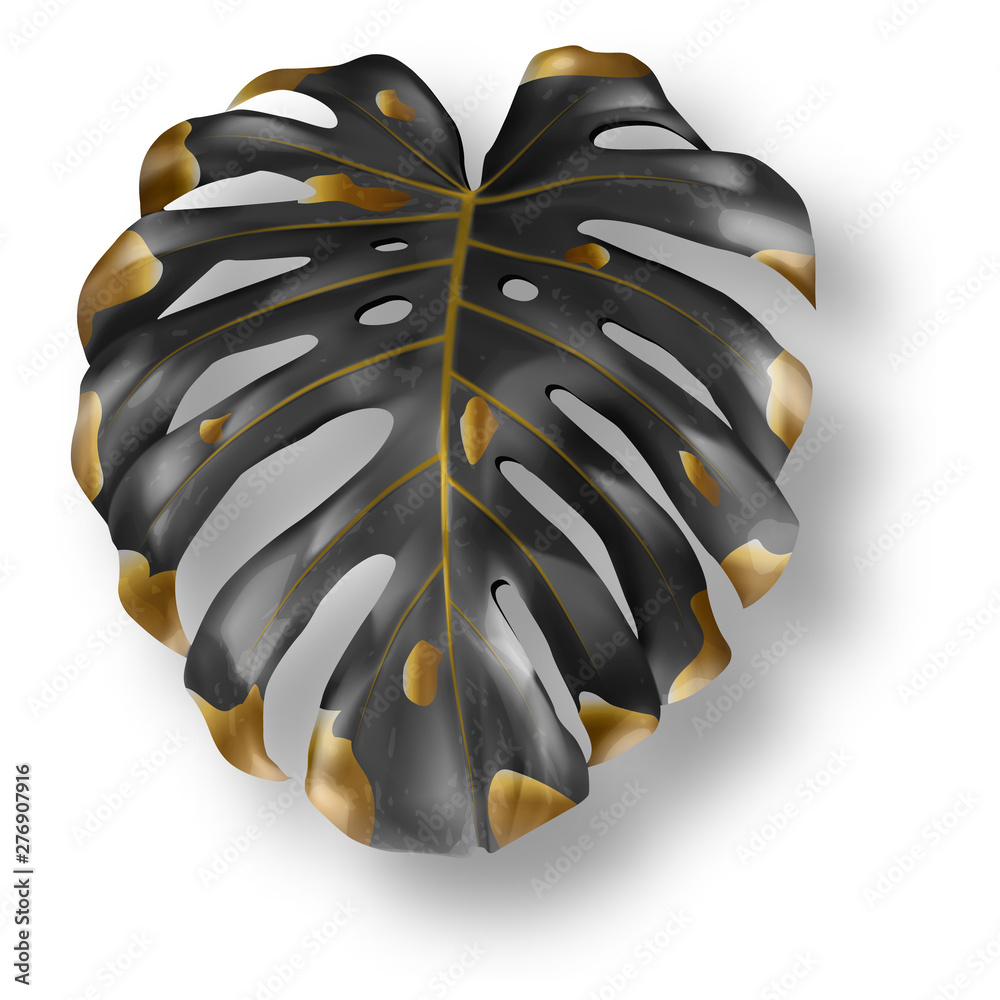 Tropical black and gold monstera leaf on white background vector. Beautiful botanical isolated design element, tropic jungle palm plant, exotic philodendron leaf - obrazy, fototapety, plakaty 
