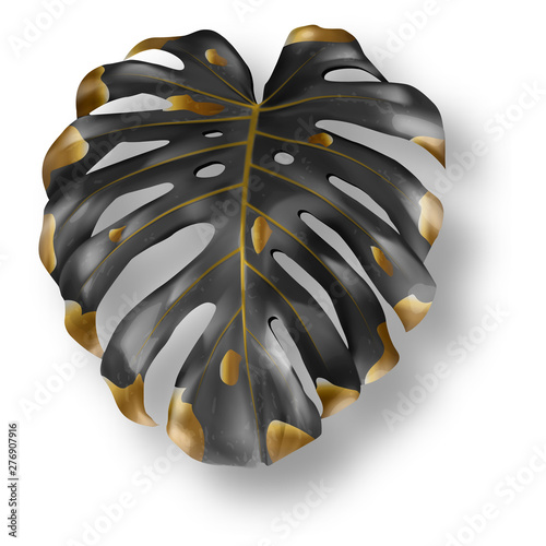 Tropical black and gold monstera leaf on white background vector. Beautiful botanical isolated design element, tropic jungle palm plant, exotic philodendron leaf