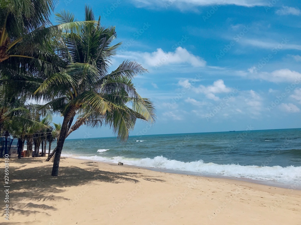 Fototapeta premium tropical beach with palm trees