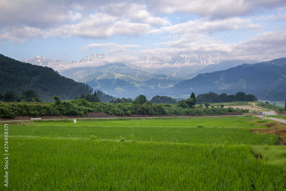 白馬村野平地区から望む早朝の北アルプス／長野県白馬村