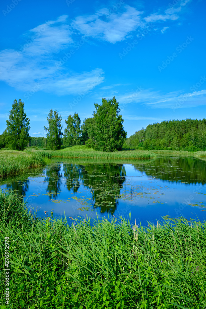 Fototapeta premium Sunny summer landscape with river. Green hills and meadows. Fields of lush green grass.