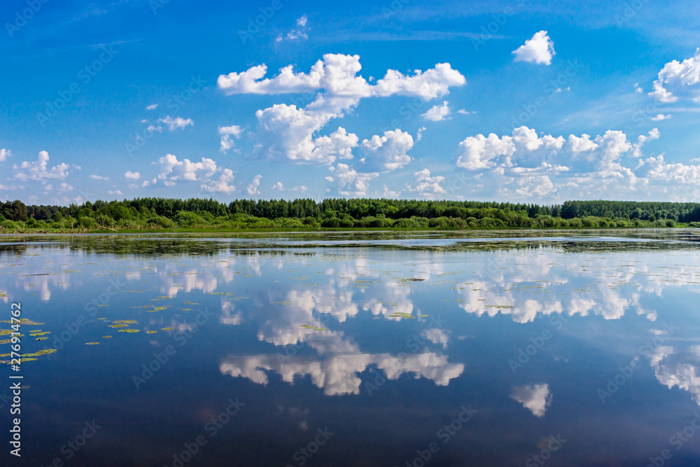 landscape of the swamp lake in summer day