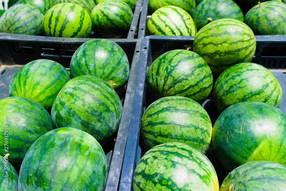 small watermelon sold at the organic market small watermelon sold at the organic market