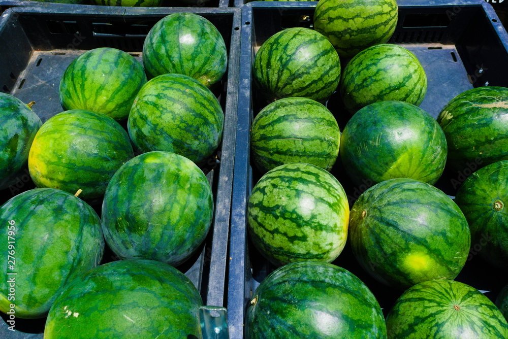 small watermelon sold at the organic market small watermelon sold at the organic market