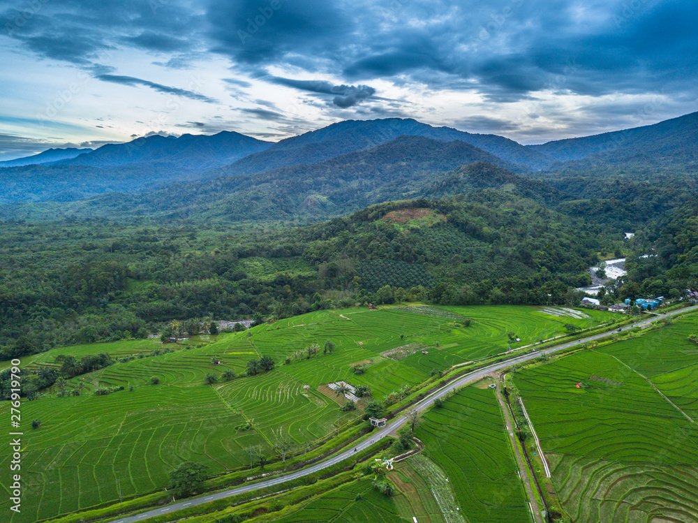 amazing mountain line which is above the green and wide rice fields is taken using sunshine in the tropical weather when it will sunset in bengkulu, indonesia