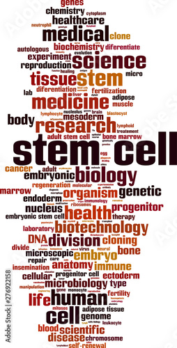 Stem cell word cloud photo