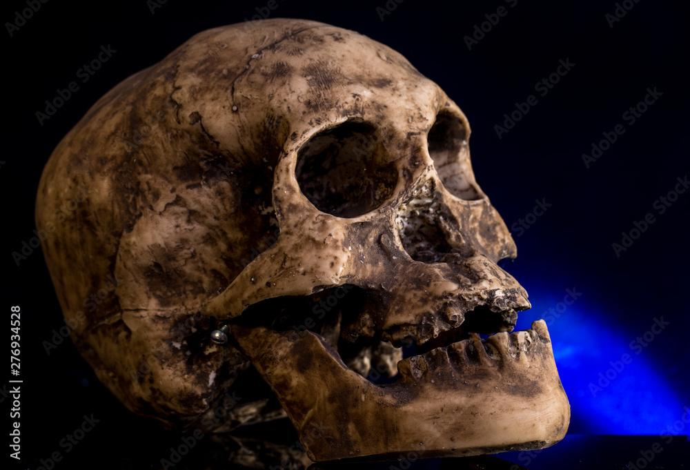 Human skull isolated on black background Human skull isolated on black background