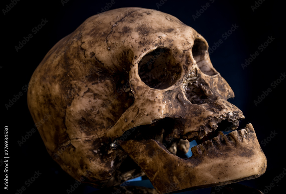 Human skull isolated on black background Human skull isolated on black background