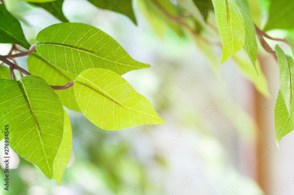 Fresh leaf with sun light background and texture. Fresh leaf with sun light background and texture.