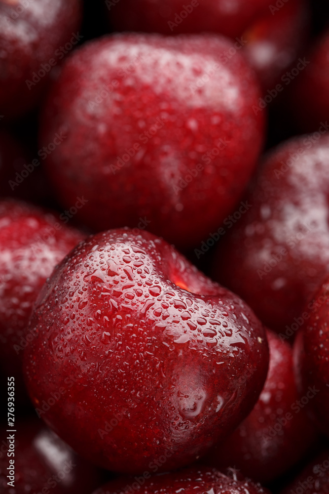 Ripe and fresh berries of a sweet cherry with water drops closeup.