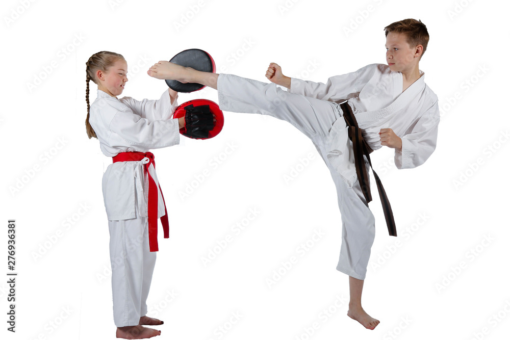 Fototapeta premium Martial Arts