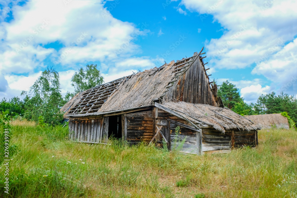 Folk abandoned oldest habitation under a reed roof in the disappearing village of Svalovichi in the Ukraine. Ukrainian Polissya.