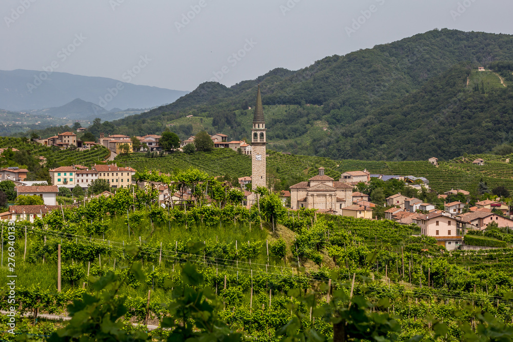 Santo Stefano village surrounded by vineyards
