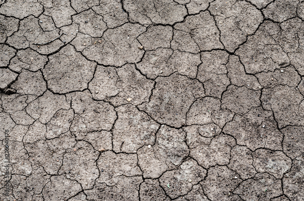 Cracks of the dried soil texture in arid season. Cracks of the dried soil texture in arid season.