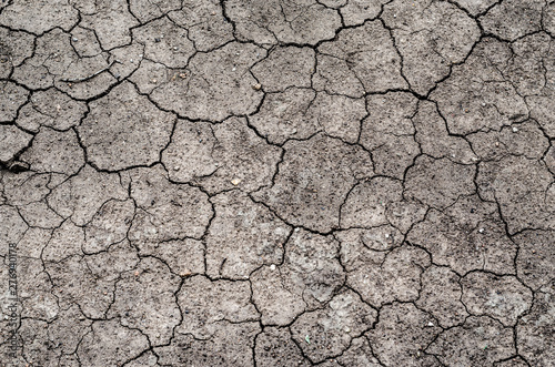 Cracks of the dried soil texture in arid season.