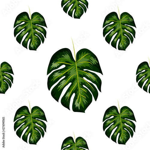 Seamless pattern of leaves monstera. Tropical leaves of palm tree. Vector background.