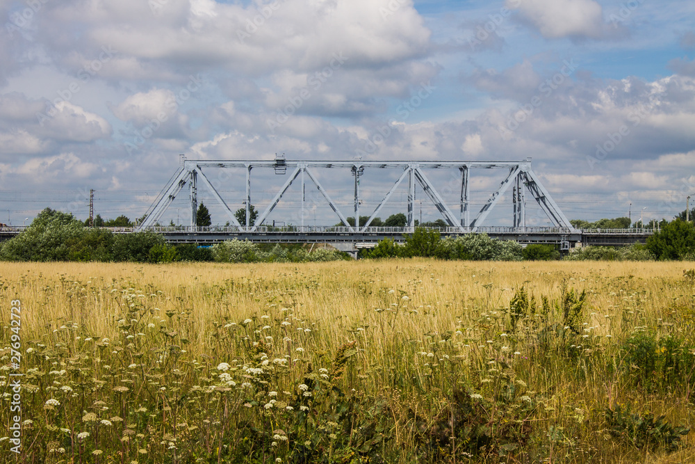 Railway metal bridge and summer meadow with high grass