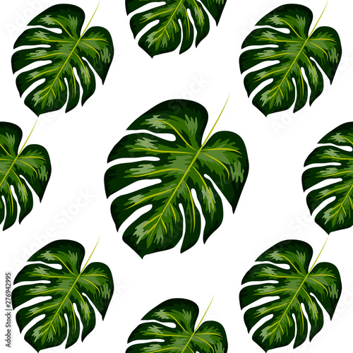 Tropical Pattern. Seamless Texture with Bright Hand Drawn Leaves of Monstera.