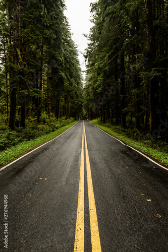 Wet Country Road in Washington