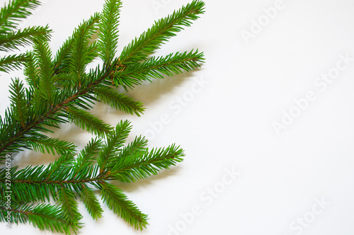 White minimalistic background with  branch of fir-tree. Place for text. Christmas concept