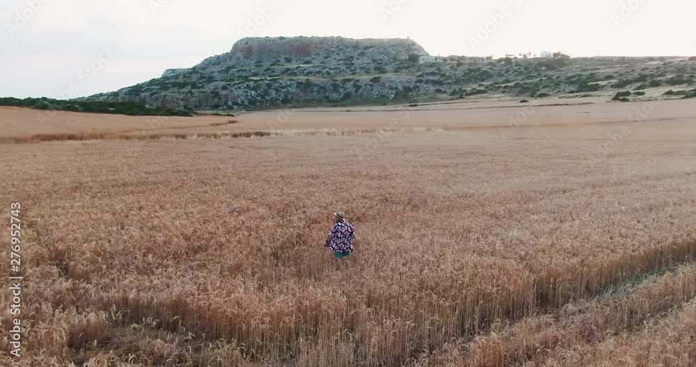 Inspired young man in hat walking in wheat summer fields near the rocky hills under hot sunlight. Drone view of tourist exploring amazing landscape nature on the island. Inspired young man in hat walking in wheat summer fields near the rocky hills under hot sunlight. Drone view of tourist exploring amazing landscape nature on the island.