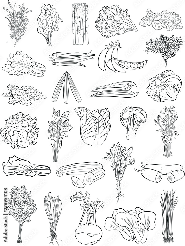 vector illustration of green vegetables in line art mode Stock Vector