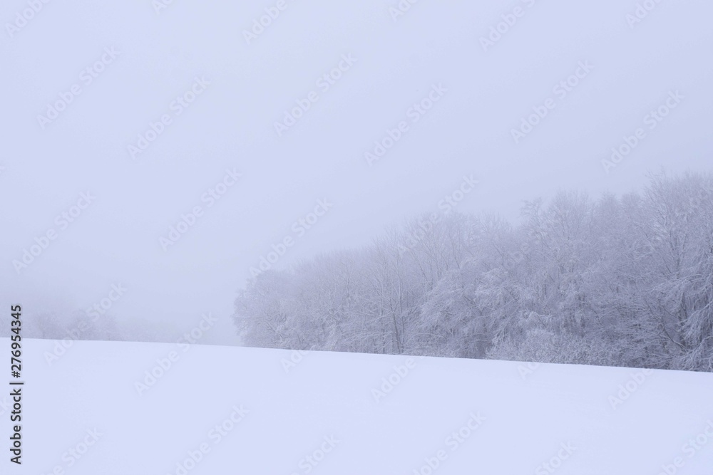 Fototapeta premium Winter Wilderness 