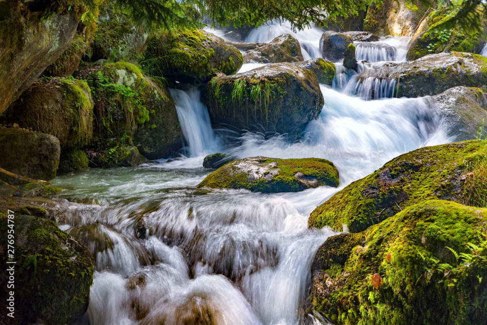 Fototapeta premium A stormy mountain river flows among huge stones in the forest slopes of the Caucasus Mountains.