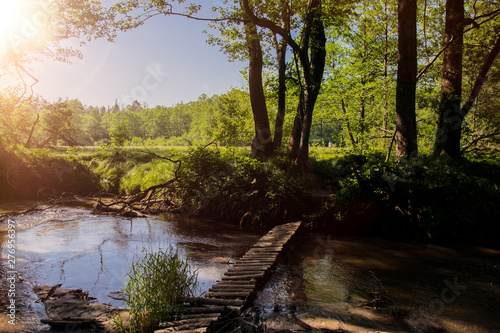 bridge over the river in the forest