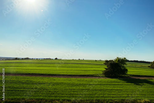 landscape with green field and blue sky