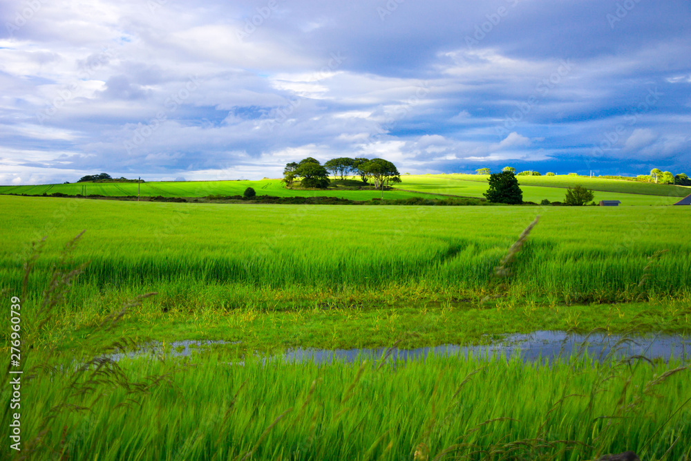 Agricultural field in Aberdeenshire, Scotland, UK