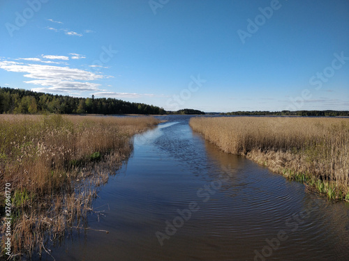 Path from river to the lake © Tomas