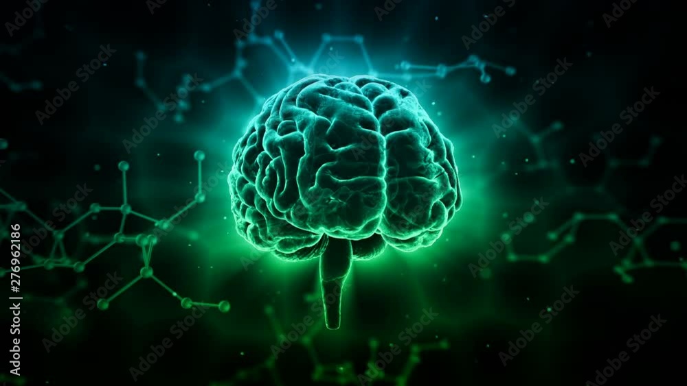 Brain human body anatomy DNA life science concept image Brain human body anatomy DNA life science concept image
