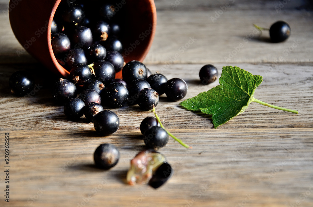 Harvest, ripe black currants, in a wooden bowl on old wooden boards. Harvest, ripe black currants, in a wooden bowl on old wooden boards.