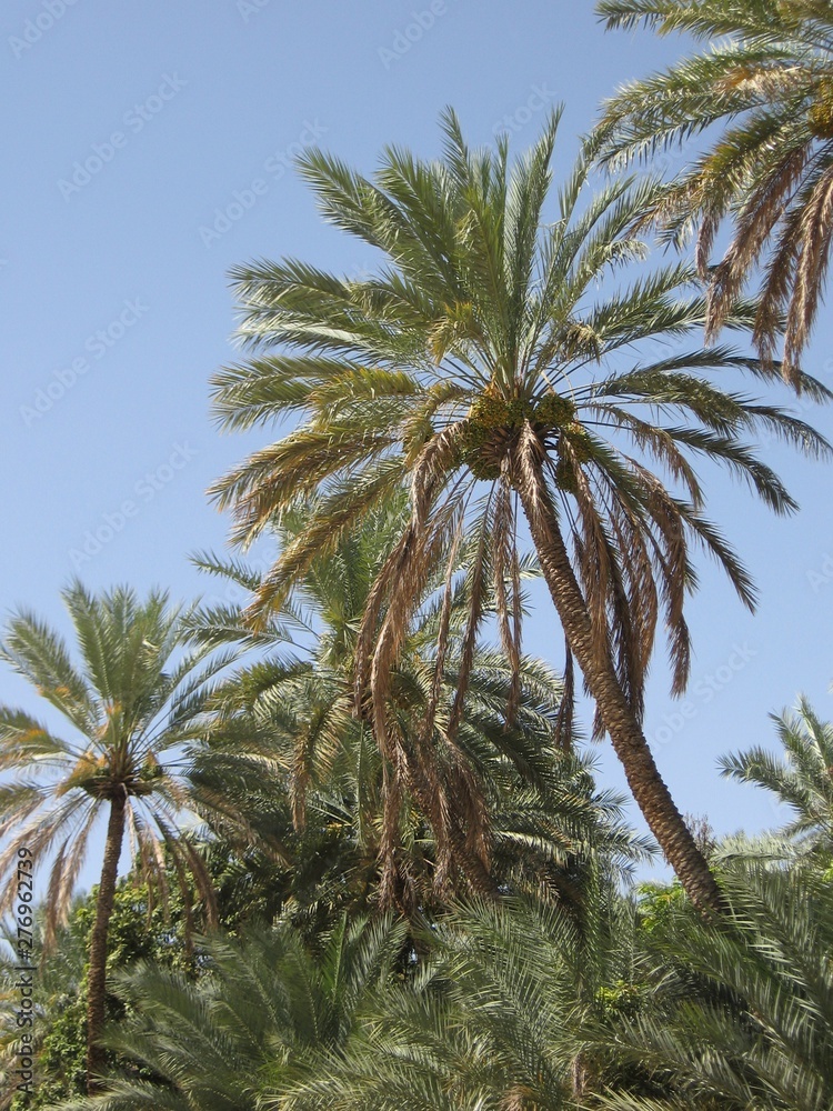 Middle East or Africa, picturesque bare mountain range and a large sandy valley desert landscapes landscape photography. Horizontal frame Middle East or Africa, picturesque bare mountain range and a large sandy valley desert landscapes landscape photography. Horizontal frame